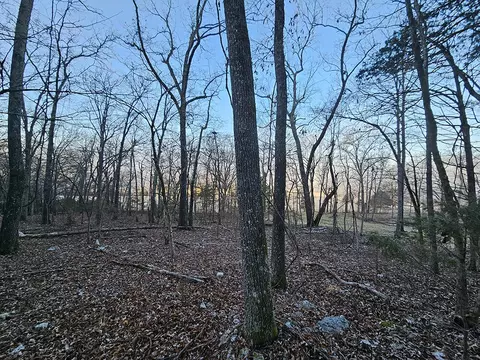 0 County Road 337a, Dora, MO 65637 photo 36