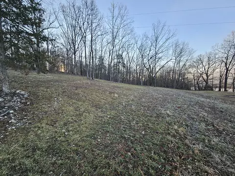 0 County Road 337a, Dora, MO 65637 photo 33