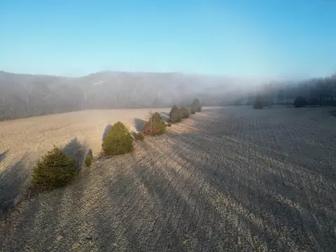0 County Road 337a, Dora, MO 65637 photo 26