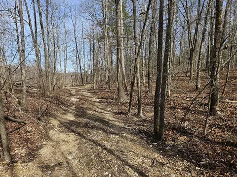 0 County Road 337a, Dora, MO 65637 photo 57