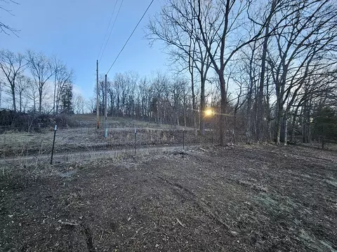 0 County Road 337a, Dora, MO 65637 photo 40