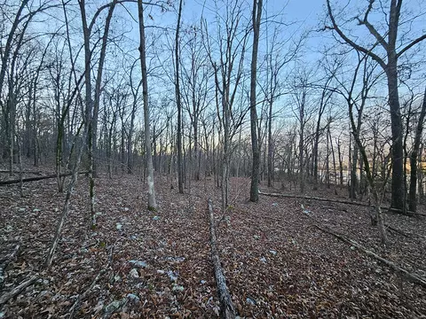 0 County Road 337a, Dora, MO 65637 photo 35