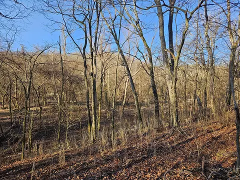 0 County Road 337a, Dora, MO 65637 photo 50