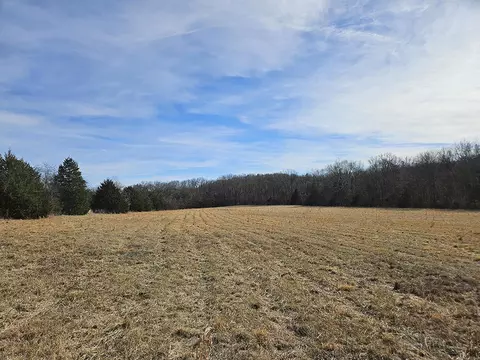 0 County Road 337a, Dora, MO 65637 photo 62