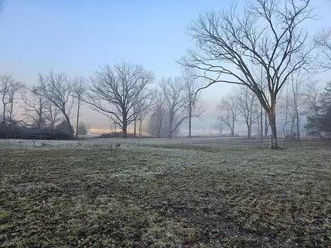 0 County Road 337a, Dora, MO 65637 photo 6