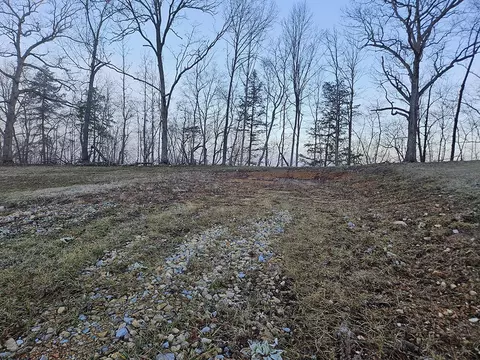 0 County Road 337a, Dora, MO 65637 photo 31