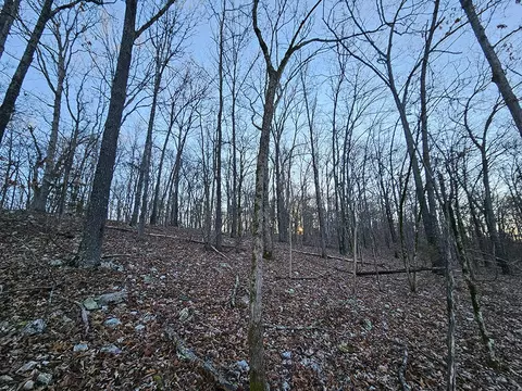 0 County Road 337a, Dora, MO 65637 photo 34
