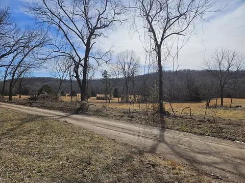 0 County Road 337a, Dora, MO 65637 photo 58