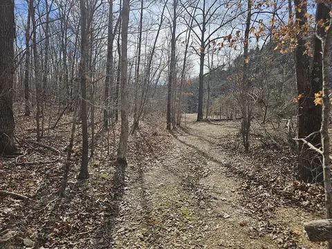 0 County Road 337a, Dora, MO 65637 photo 56