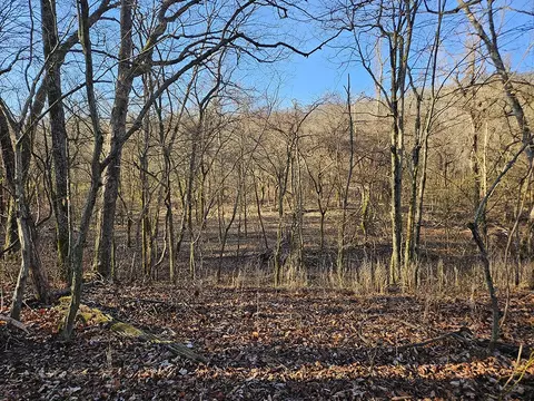 0 County Road 337a, Dora, MO 65637 photo 49