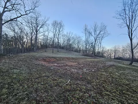 0 County Road 337a, Dora, MO 65637 photo 30