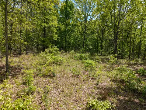 000 Private Rd, Drury, MO 65638 photo 13