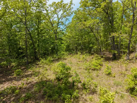 000 Private Rd, Drury, MO 65638 photo 16