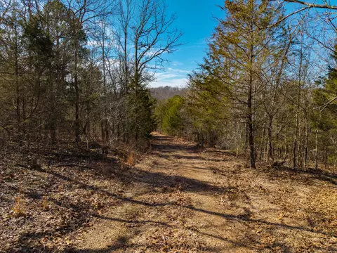 000 Private Rd, Drury, MO 65638 photo 14