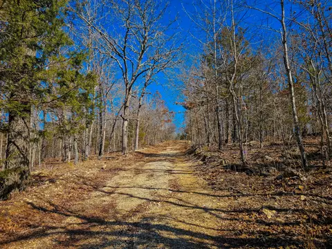 000 Private Rd, Drury, MO 65638 photo 15