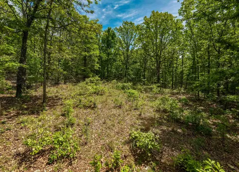 000 Private Rd, Drury, MO 65638 photo 25