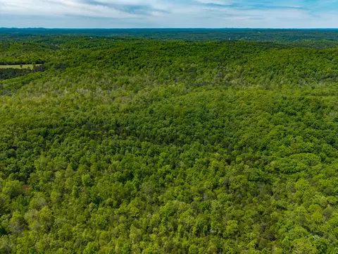 000 Private Rd, Drury, MO 65638 photo 9