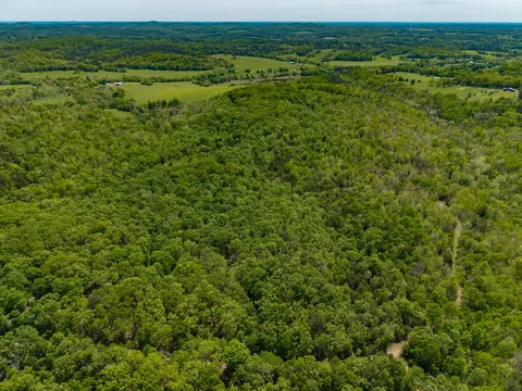 000 Private Rd, Drury, MO 65638 photo 3