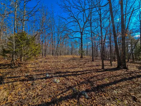 000 Private Rd, Drury, MO 65638 photo 17