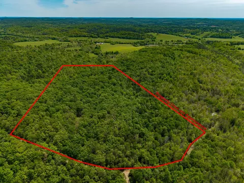 000 Private Rd, Drury, MO 65638