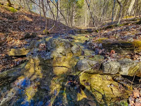 000 Private Rd, Drury, MO 65638 photo 22