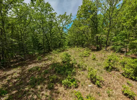 000 Private Rd, Drury, MO 65638 photo 26
