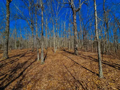 000 Private Rd, Drury, MO 65638 photo 19
