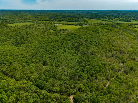 000 Private Rd, Drury, MO 65638 photo 2