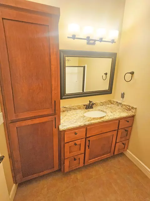 Bath - 233 Sidehill Dr, Ridgedale, MO 65739 photo 6 of 11