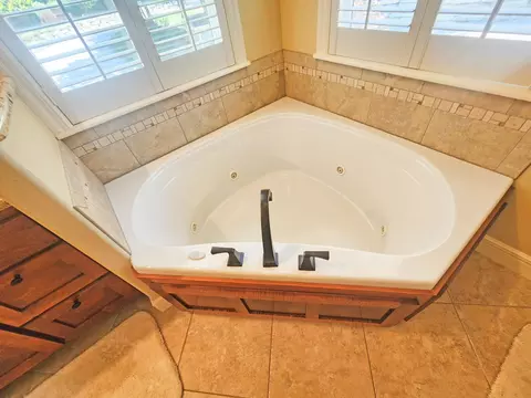 Bath - 233 Sidehill Dr, Ridgedale, MO 65739 photo 4 of 11