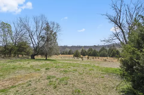6495 Us Highway 160, Walnut Shade, MO 65771 photo 26