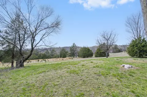 6495 Us Highway 160, Walnut Shade, MO 65771 photo 35