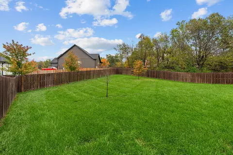 811 E Rainey St, Ozark, MO 65721 photo 48