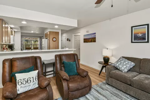 Living - 149 The Blfs UNIT 1, Branson, MO 65616 photo 3 of 4