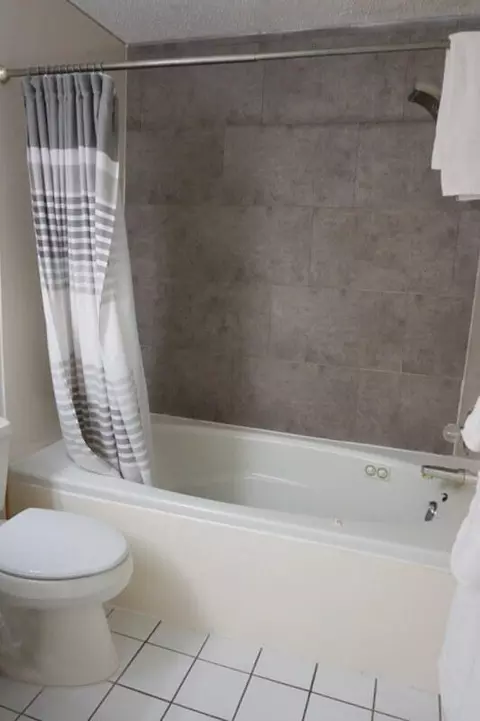 Bath - 189 Avondale Dr #6, Branson, MO 65616 photo 3 of 6