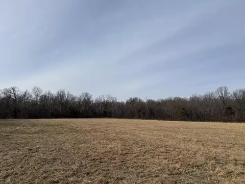 000 Beaver Rd, Stella, MO 64867 photo 3