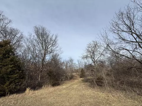 000 Beaver Rd, Stella, MO 64867 photo 6