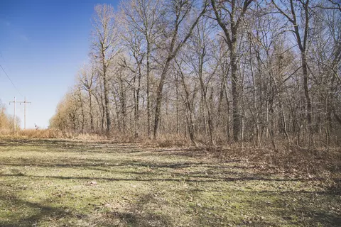 000 Nettle Dr, Neosho, MO 64850 photo 21
