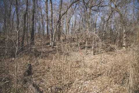 000 Nettle Dr, Neosho, MO 64850 photo 12