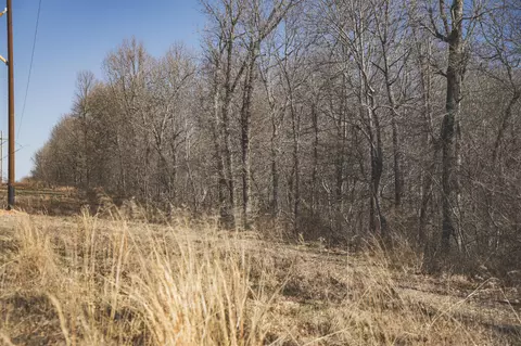 000 Nettle Dr, Neosho, MO 64850 photo 25