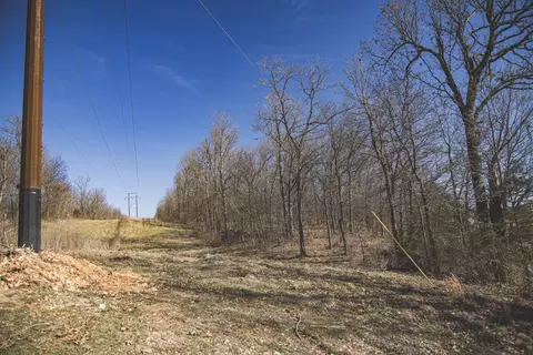 000 Nettle Dr, Neosho, MO 64850 photo 31