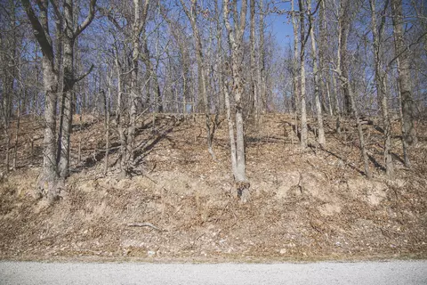 000 Nettle Dr, Neosho, MO 64850 photo 8