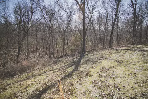 000 Nettle Dr, Neosho, MO 64850 photo 23