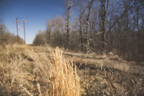 000 Nettle Dr, Neosho, MO 64850 photo 24