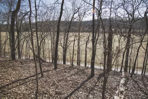 000 Nettle Dr, Neosho, MO 64850 photo 6