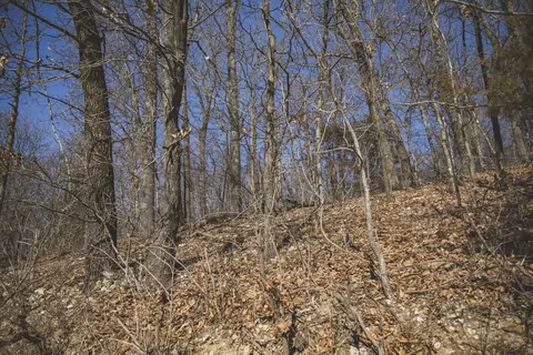 000 Nettle Dr, Neosho, MO 64850 photo 9