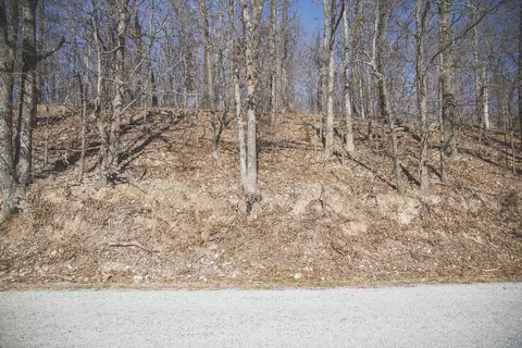 000 Nettle Dr, Neosho, MO 64850 photo 5