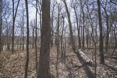 000 Nettle Dr, Neosho, MO 64850 photo 18