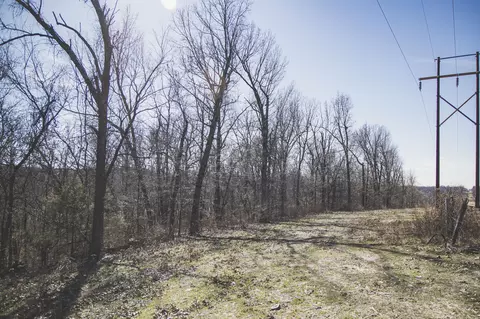 000 Nettle Dr, Neosho, MO 64850 photo 22