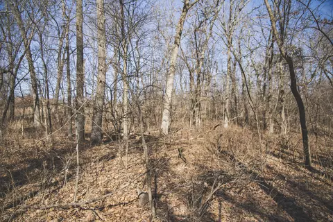 000 Nettle Dr, Neosho, MO 64850 photo 15